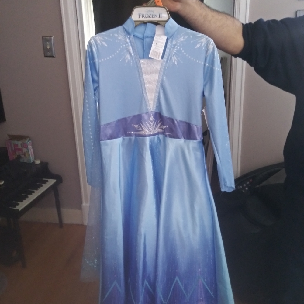 Elsa dress from frozen